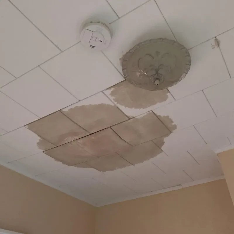 Ceiling Water Damage Repair in Spring Lake, NC