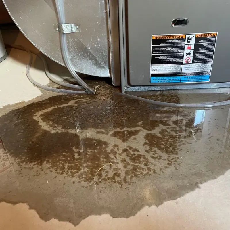 Pipe Burst and Leak Restoration in Spring Lake, NC